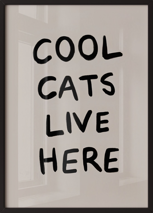 Cool cats live here