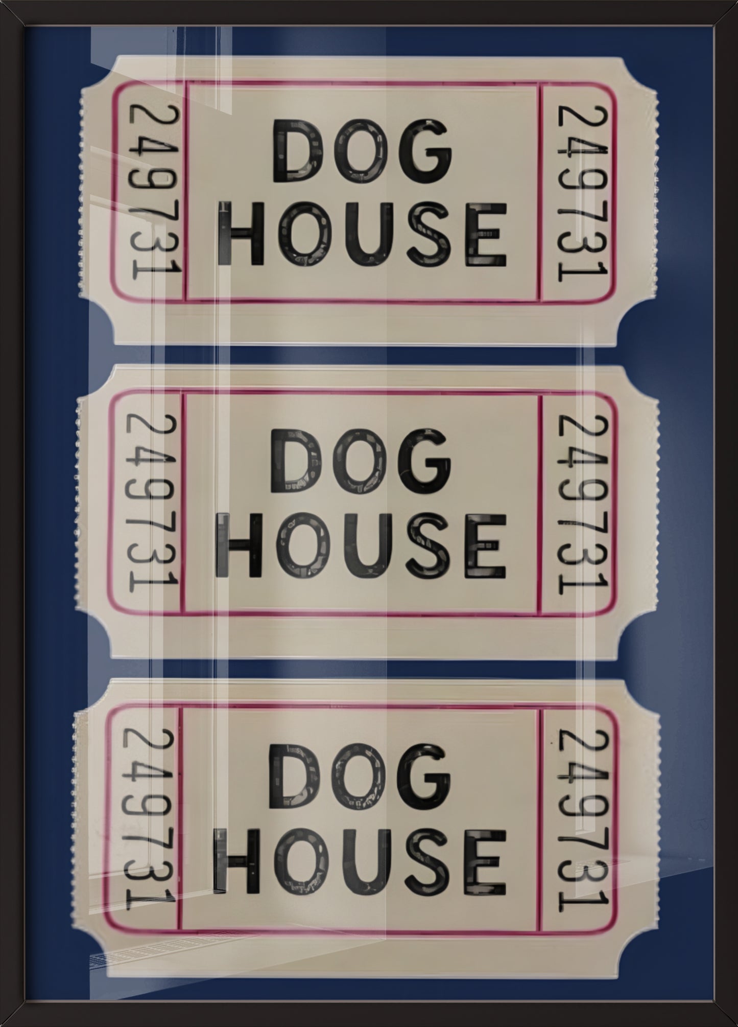 Dog House